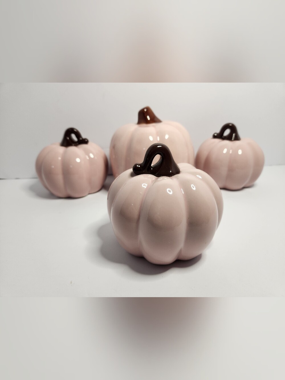 Source Unknown Blush Pink Ceramic Pumpkin Set with Brown Stems